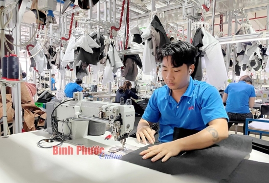 Binh Phuoc's attraction through FDI flow