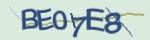 보안 코드
