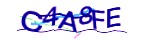 보안 코드
