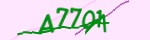 보안 코드
