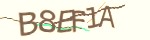 验证码
